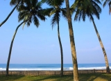Hotel Blue Water, Wadduwa - Srí Lanka