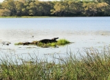 národný park Willpathu