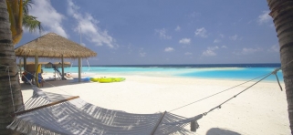Lily Beach
