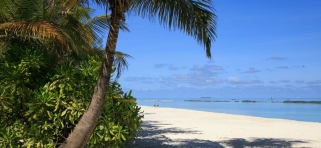 Summer Island Village