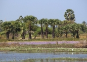 Zájazd Srí Lanka - sever, Jaffna a východná pláž 